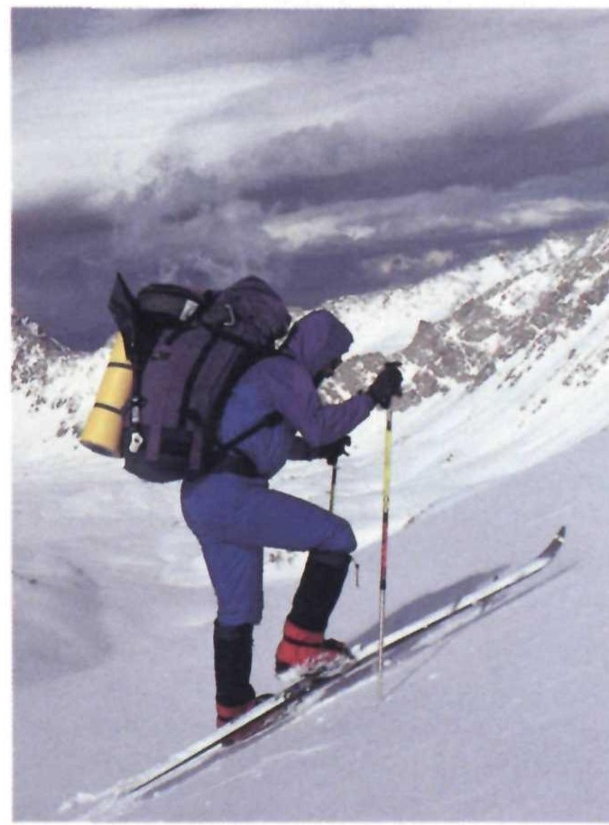 An unidentified skier climbs through the Sierra High Route on backcountry skis with an overnight pack